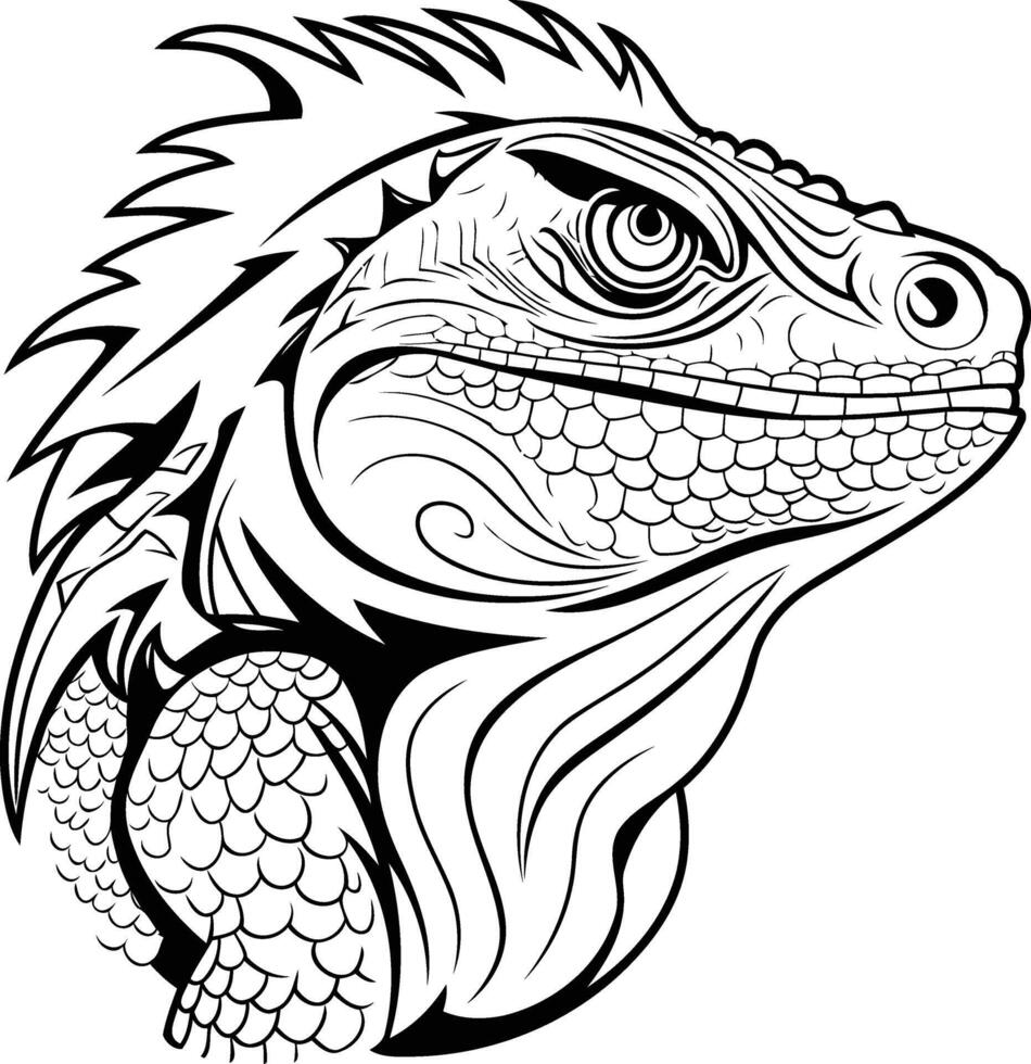 Iguana coloring pages for kids vector