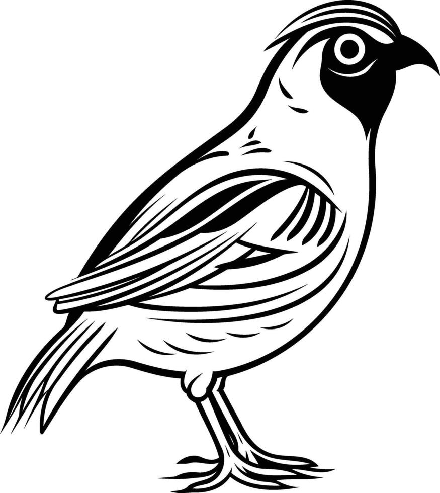 A black and white drawing of a bird vector