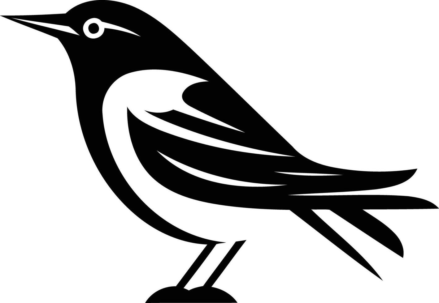 A black and white bird with a long tail vector