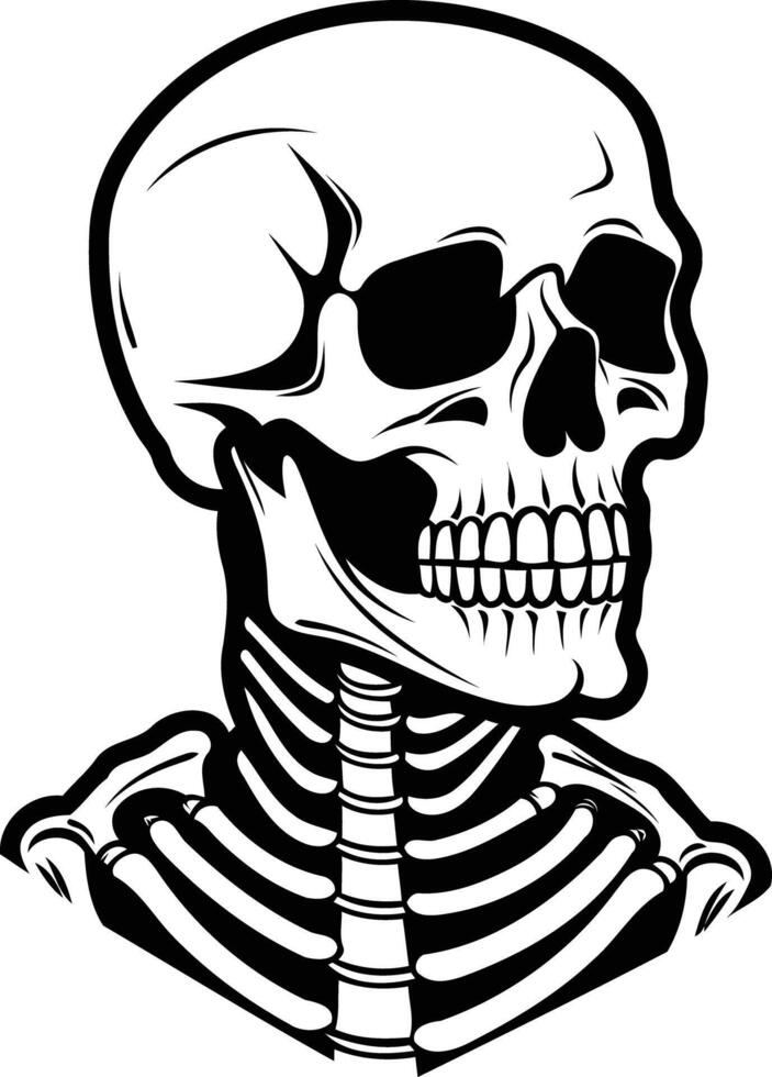 A skeleton head with a black and white outline vector