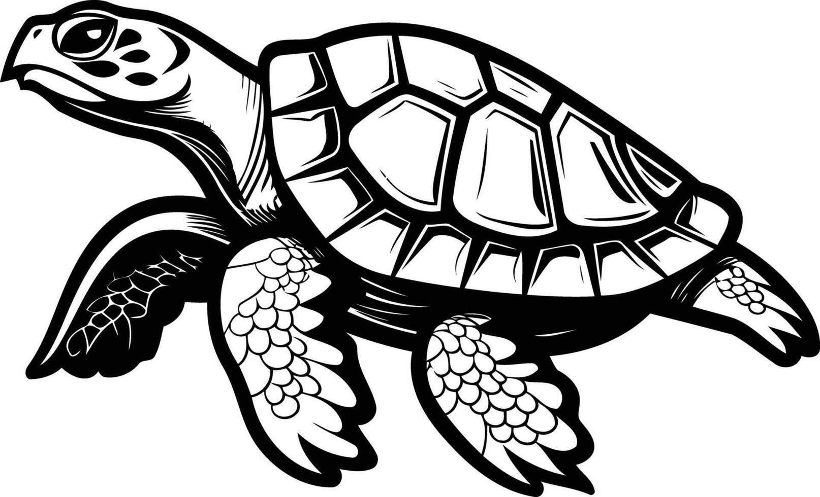 A turtle is shown in a black and white drawing vector