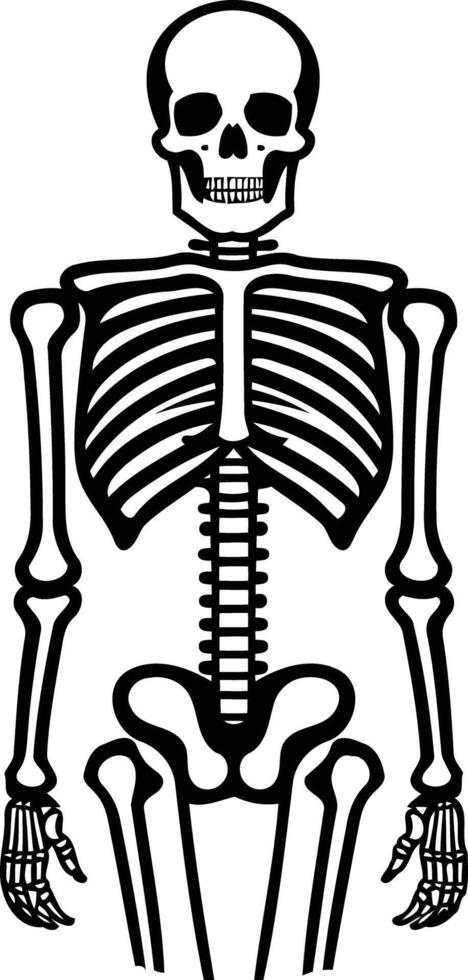 A skeleton is standing in front of a white background vector