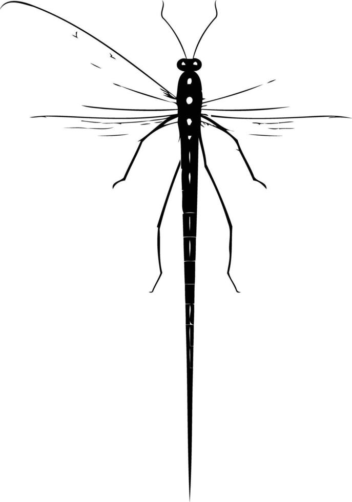 Dragonfly clip art dragonfly clip art dragonfly clip art dragonfly clip art dragonfly clip vector