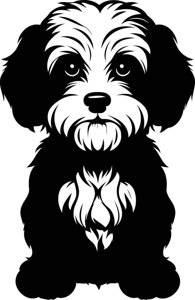 Shih tzu dog clip art vector