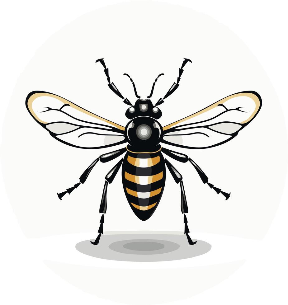 A black and yellow bee on a white background vector
