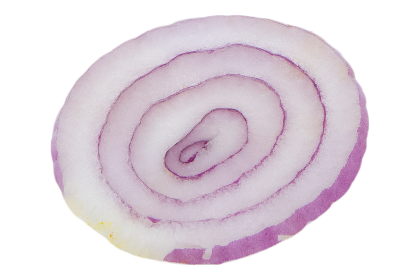 red onion ring on white background png