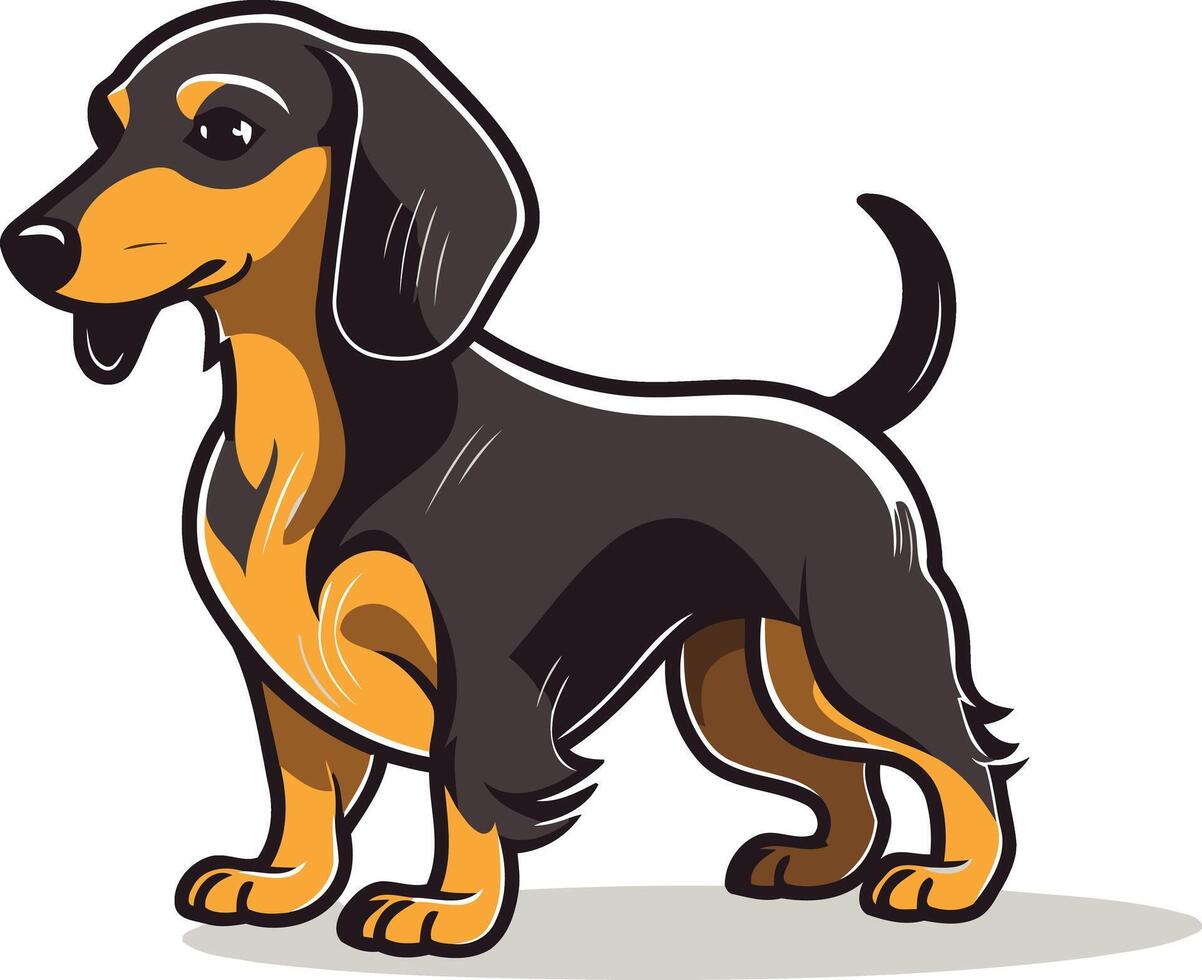 A cartoon dachshund dog standing on a white background vector