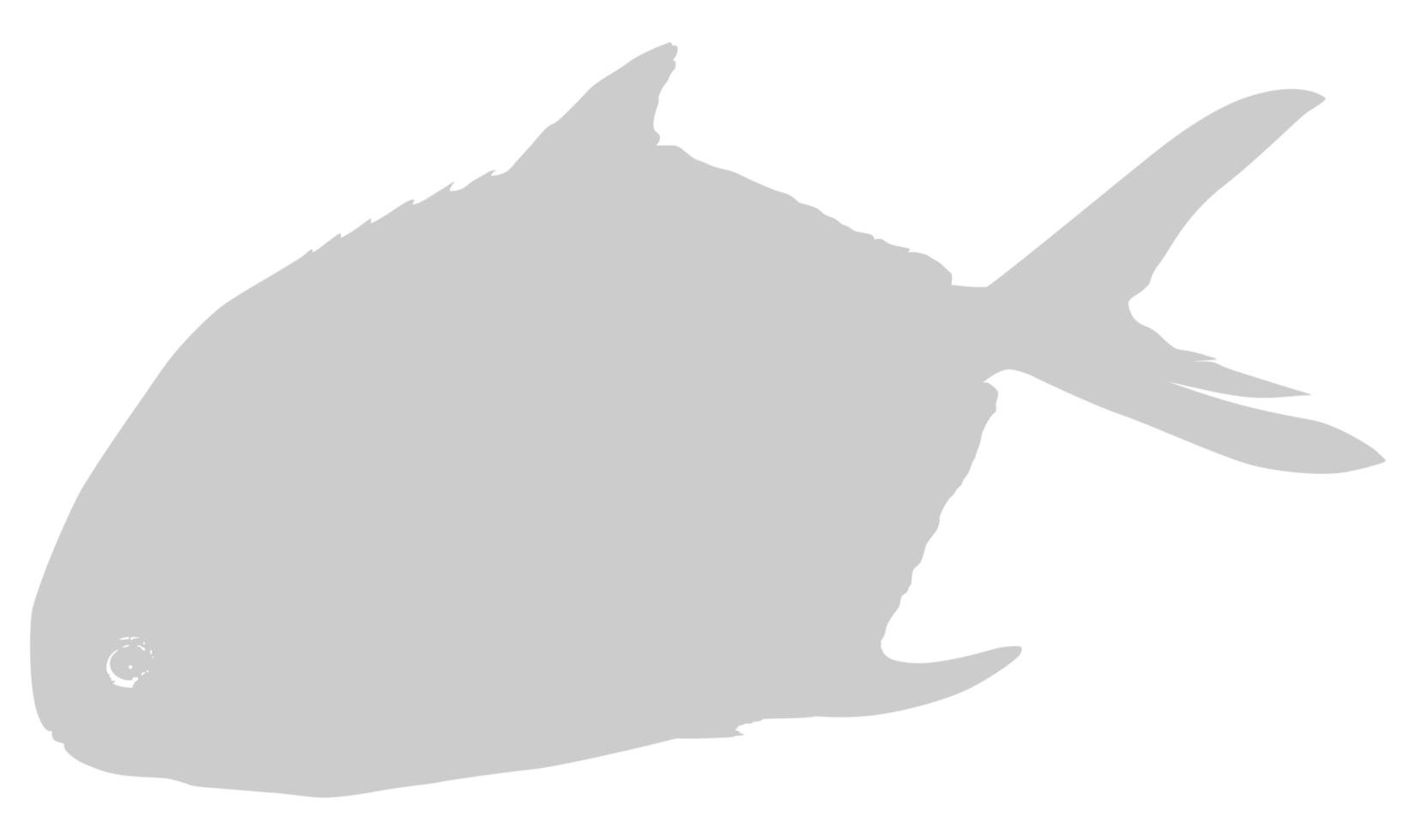 Silhouette of the Silver pomfret, Bramidae, pampo, or Pampus Fish. Flat Syle. Can use for Logo Gram, Animal Illustration, Pictogram, Website, or Graphic Design Element png