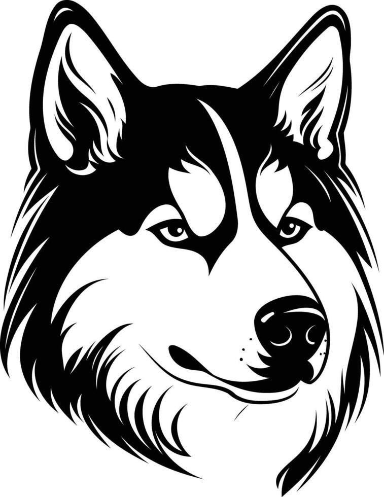 Siberian husky dog head vector