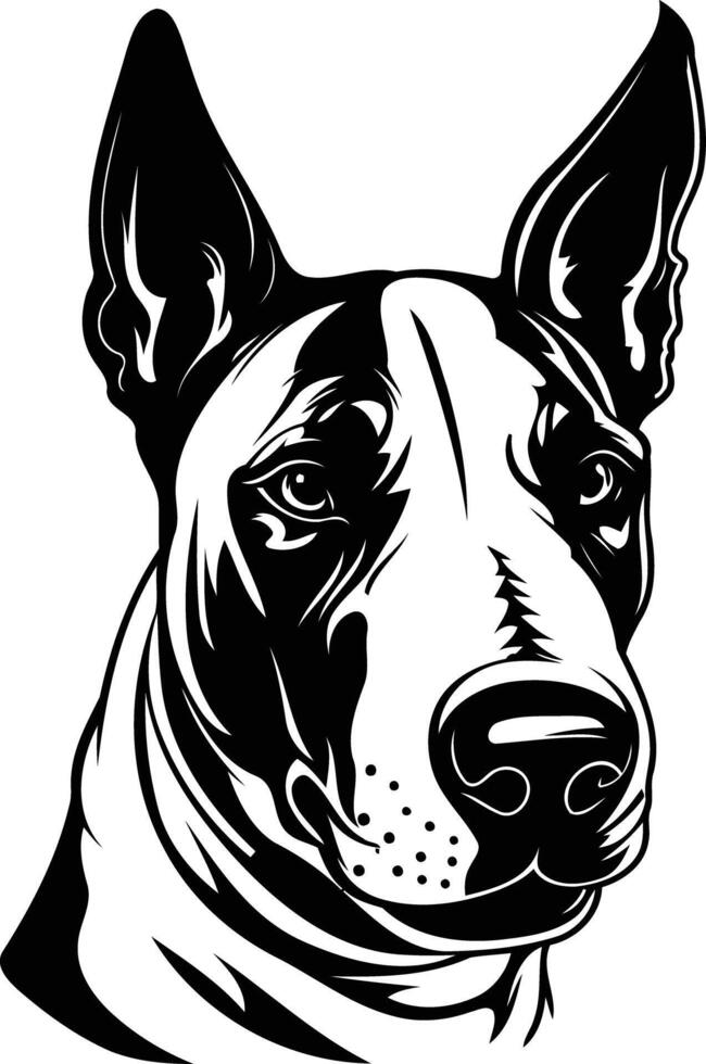 A black and white drawing of a bull terrier dog vector