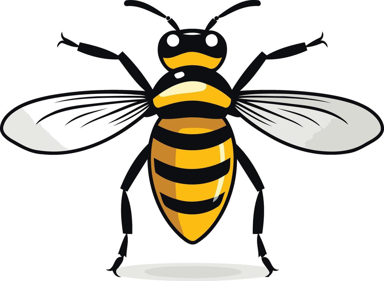 A bee with black and yellow stripes on its back vector