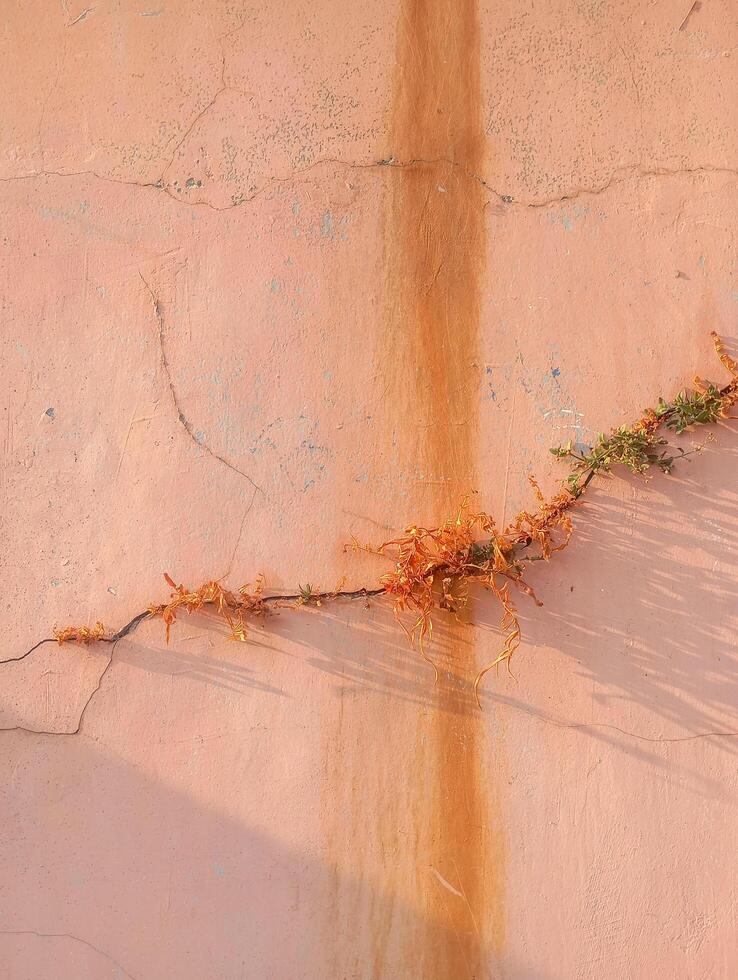 Photo of natural stone texture for background
