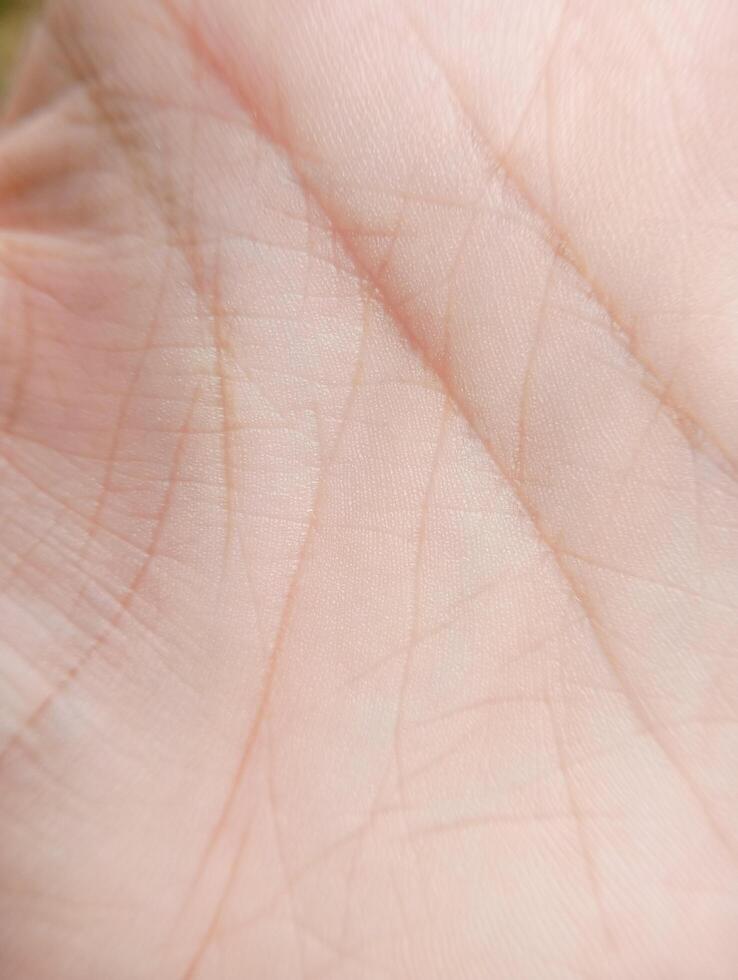 Photo of the lines on the palm of a hand