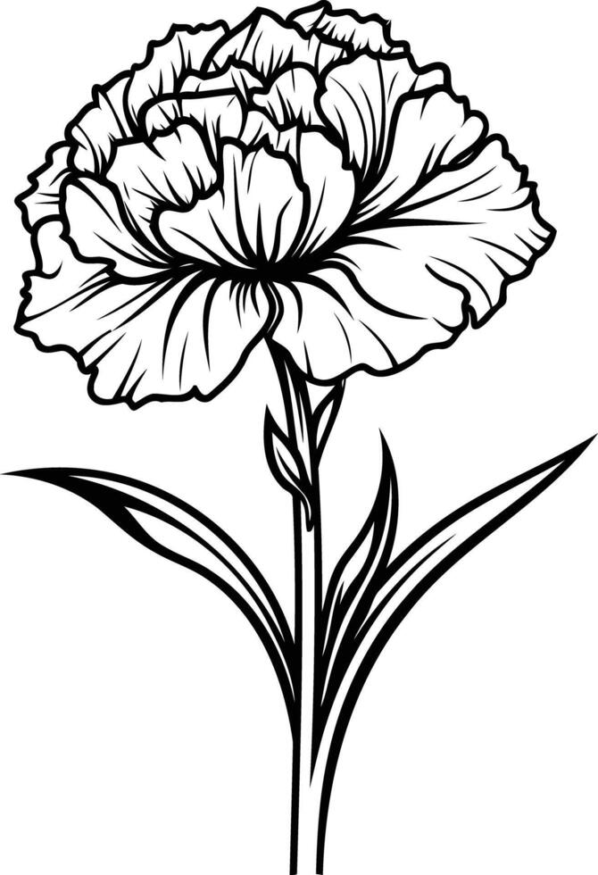 A black and white flower on a white background vector