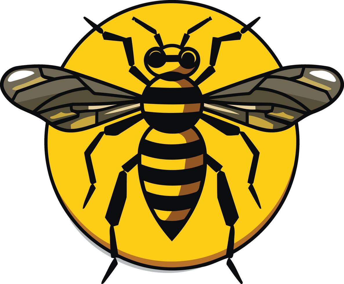A yellow and black bee with black wings vector