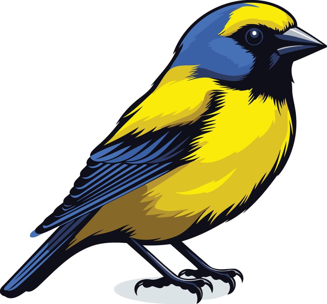 A yellow and blue bird with black beak vector
