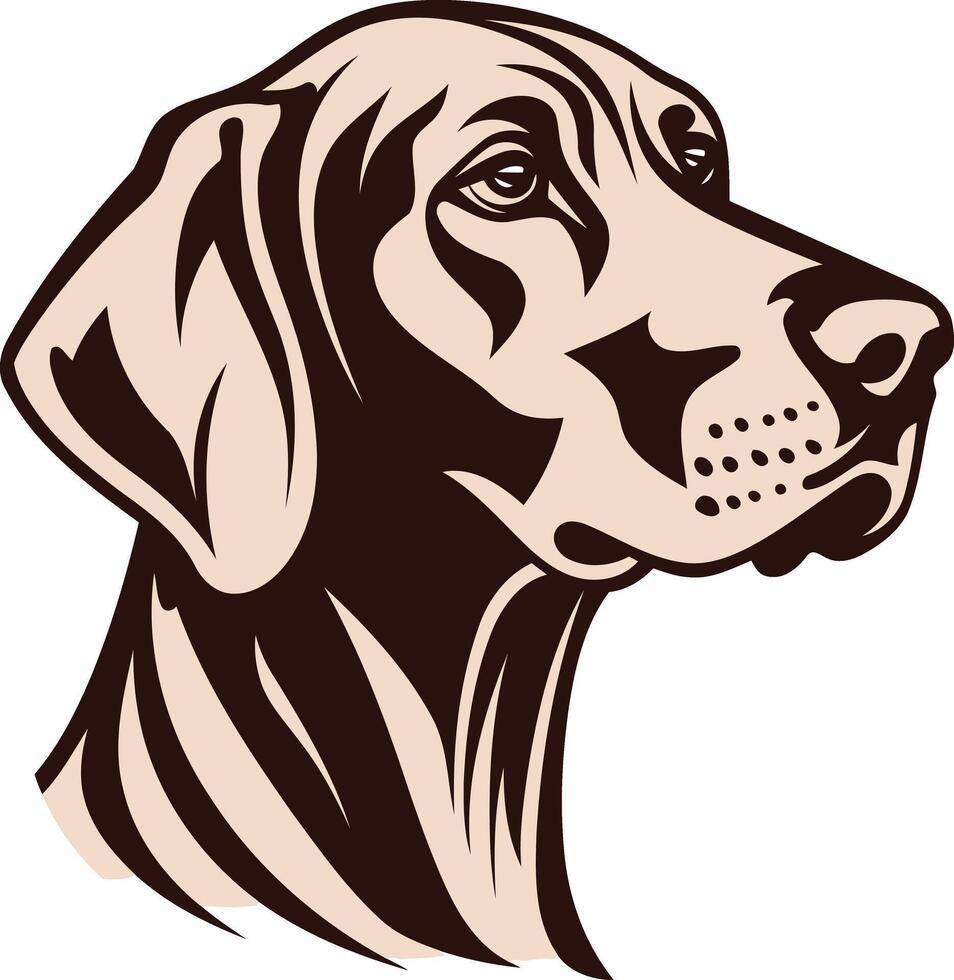 A dog head in a brown and white color vector