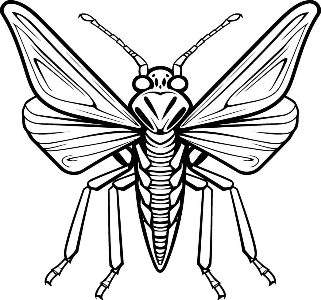 A black and white drawing of a bug vector