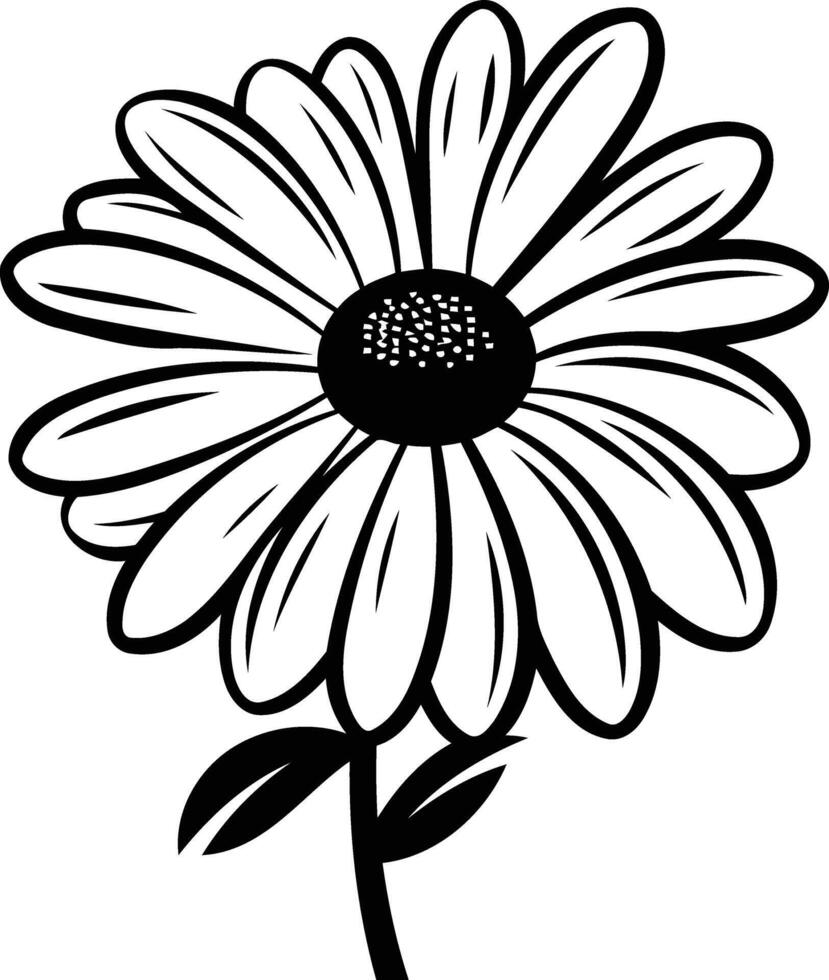 Daisy flower coloring pages vector