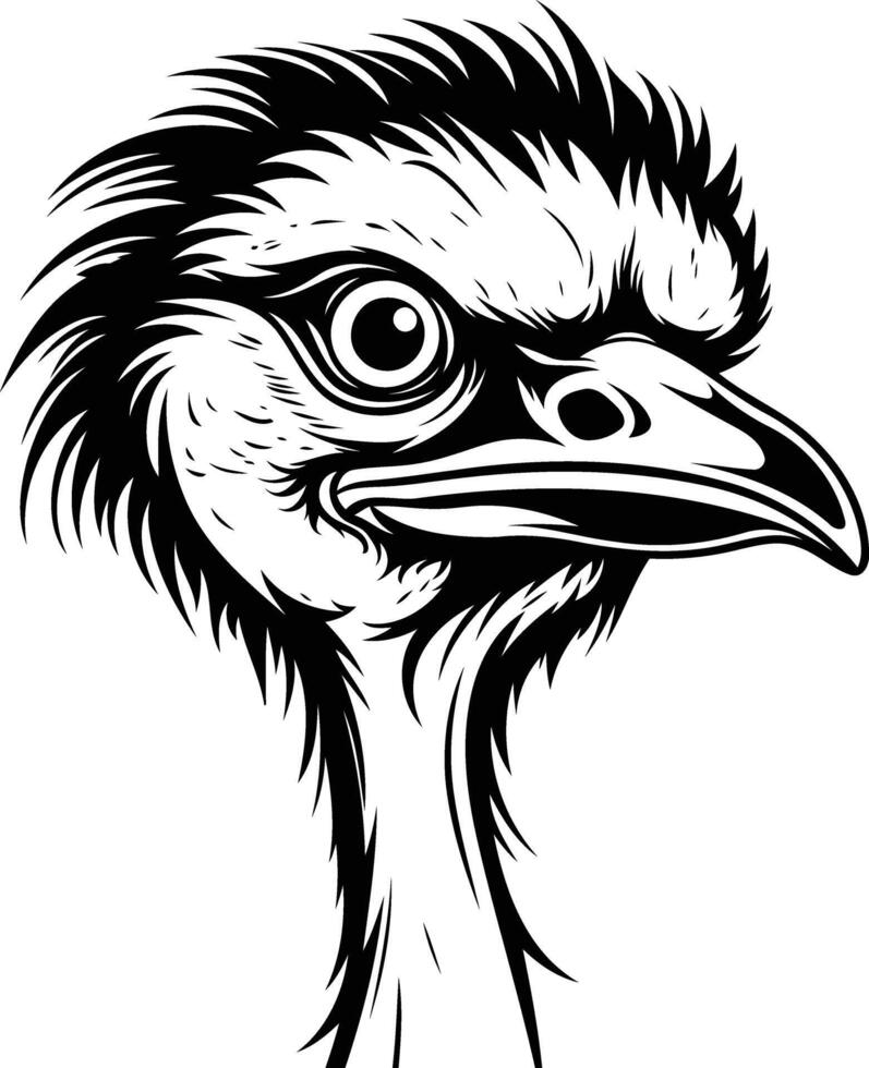 An ostrich head in black and white vector