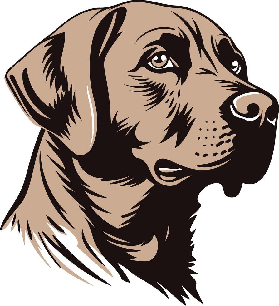 A brown dog head on a white background vector