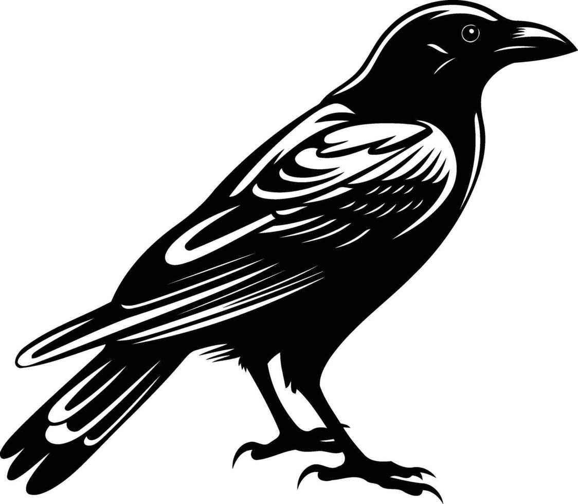 A black and white drawing of a crow vector