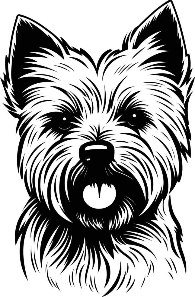A dog head with a black and white drawing vector
