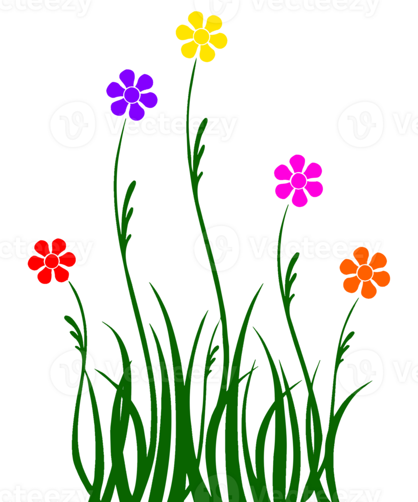 illustration of a tall flowers png