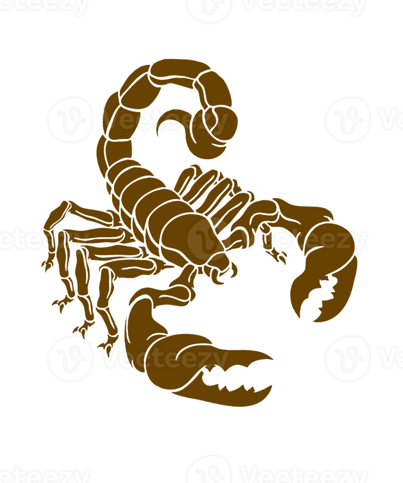 Scorpion isolated on transparent background png