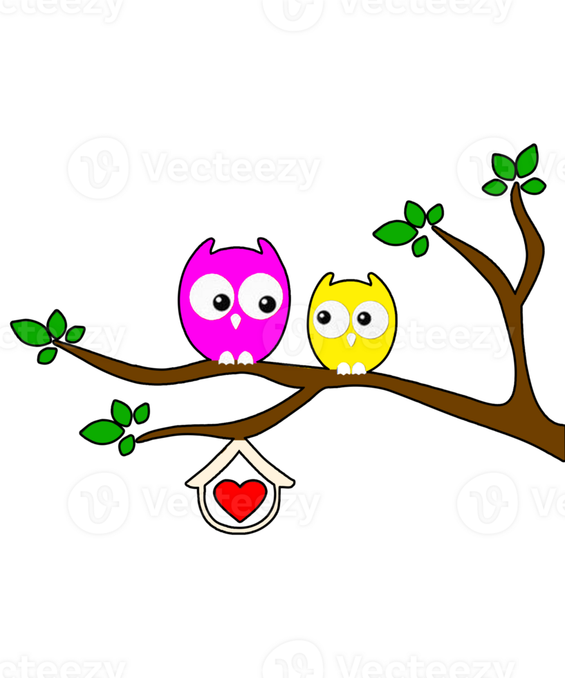 illustration of a diy owls on branch png