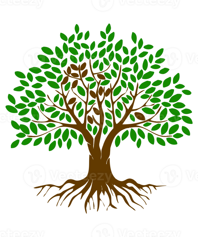 tree with roots clipart png