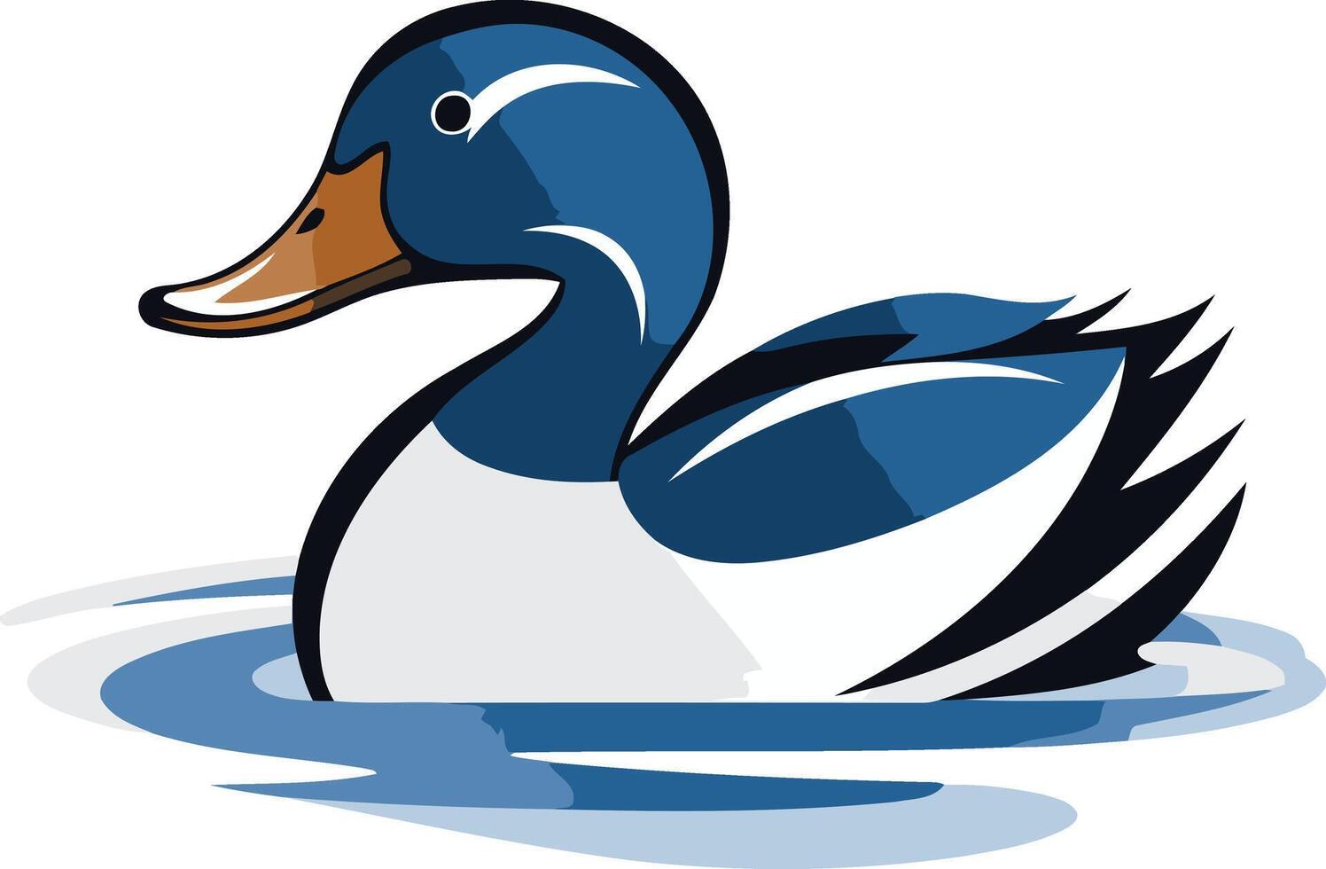 A duck swimming in the water on a white background vector