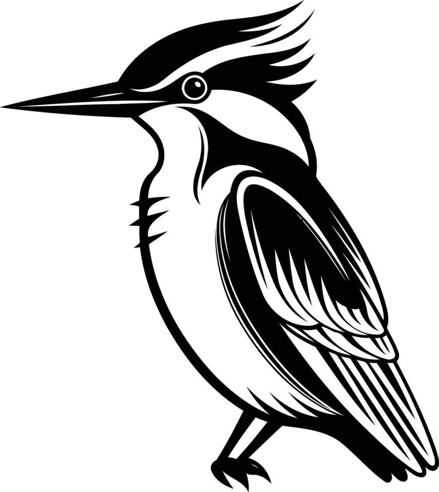 Kingfisher bird silhouette vector