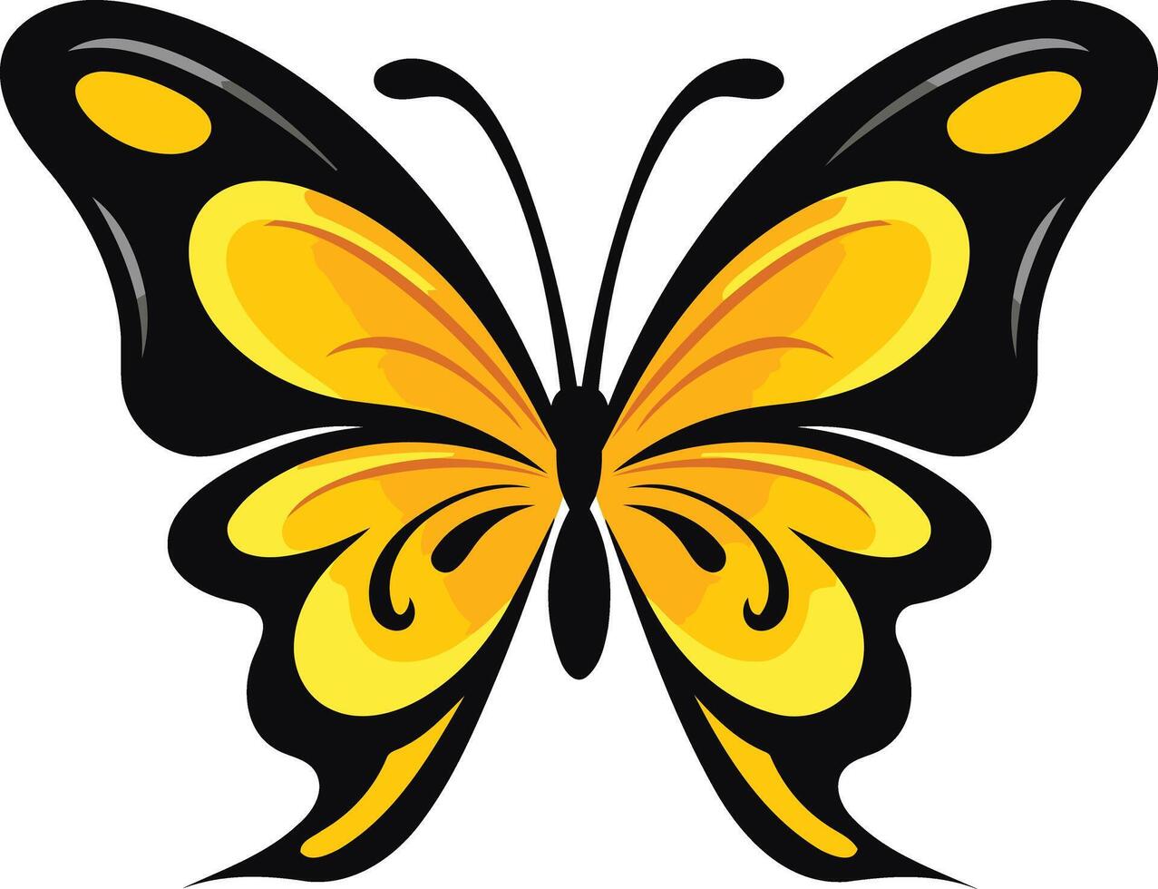 A yellow and black butterfly with black wings vector