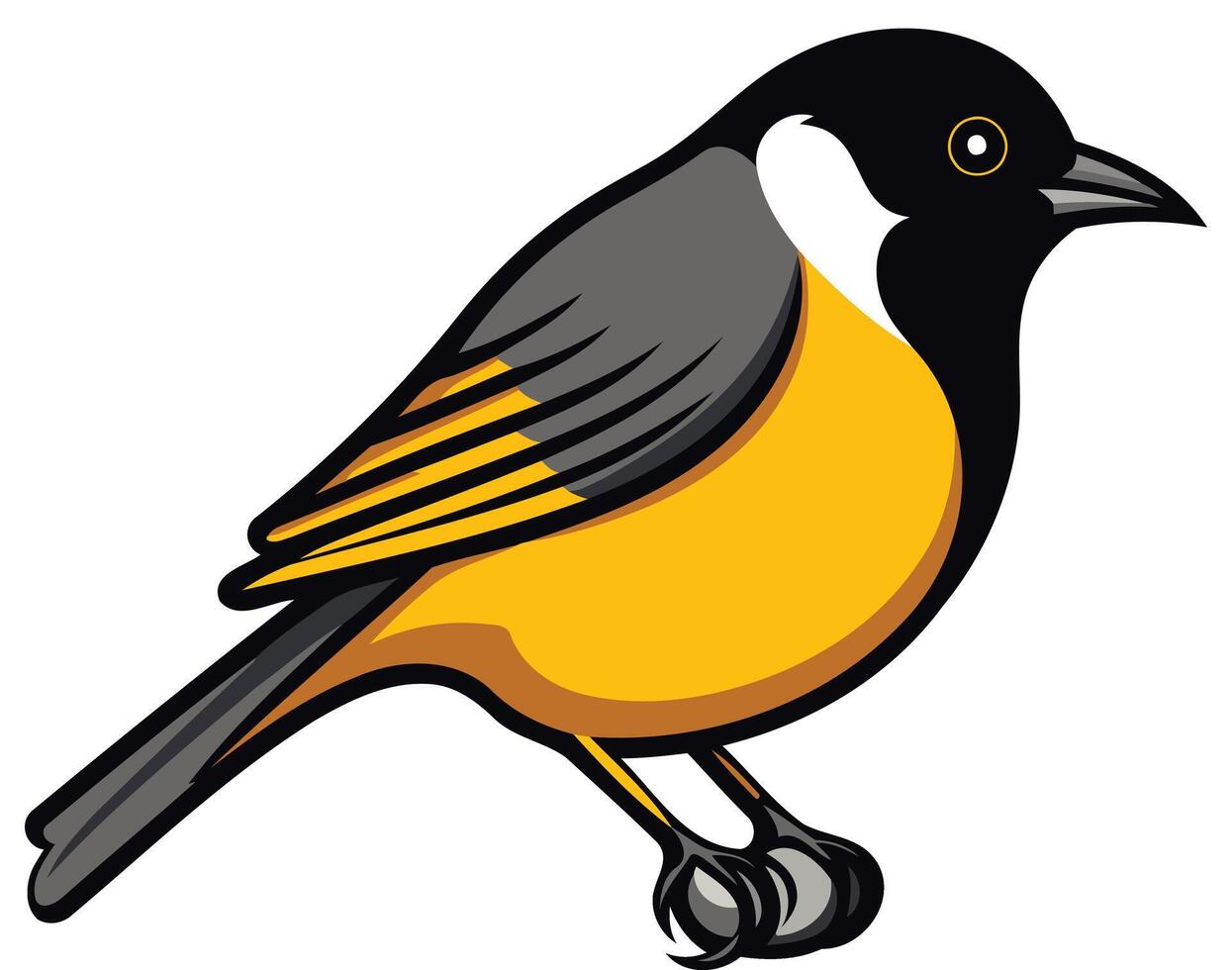 A black and yellow bird with a black beak vector