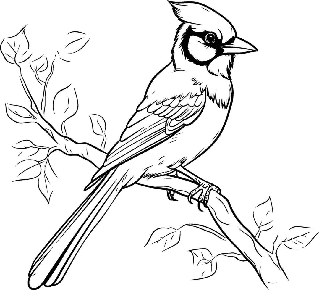 A coloring page with a bird sitting on a branch vector