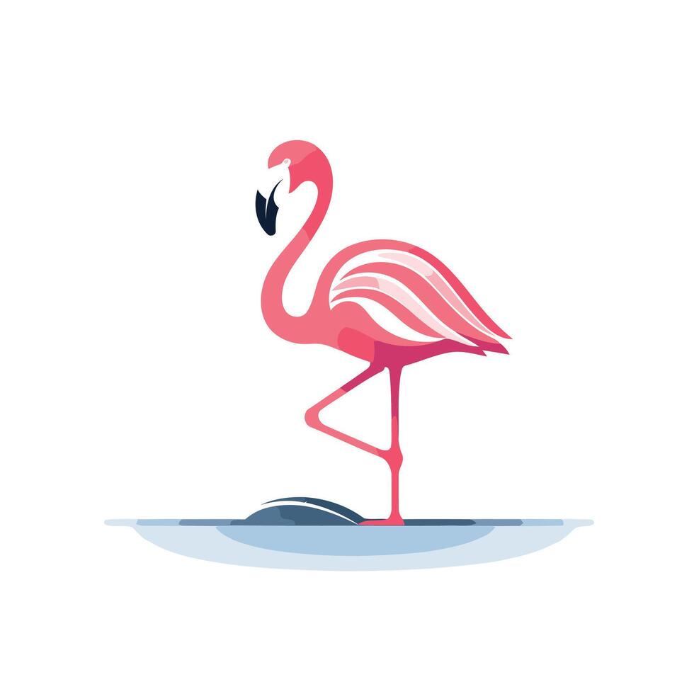 Flamingo standing on the water with its legs spread out vector