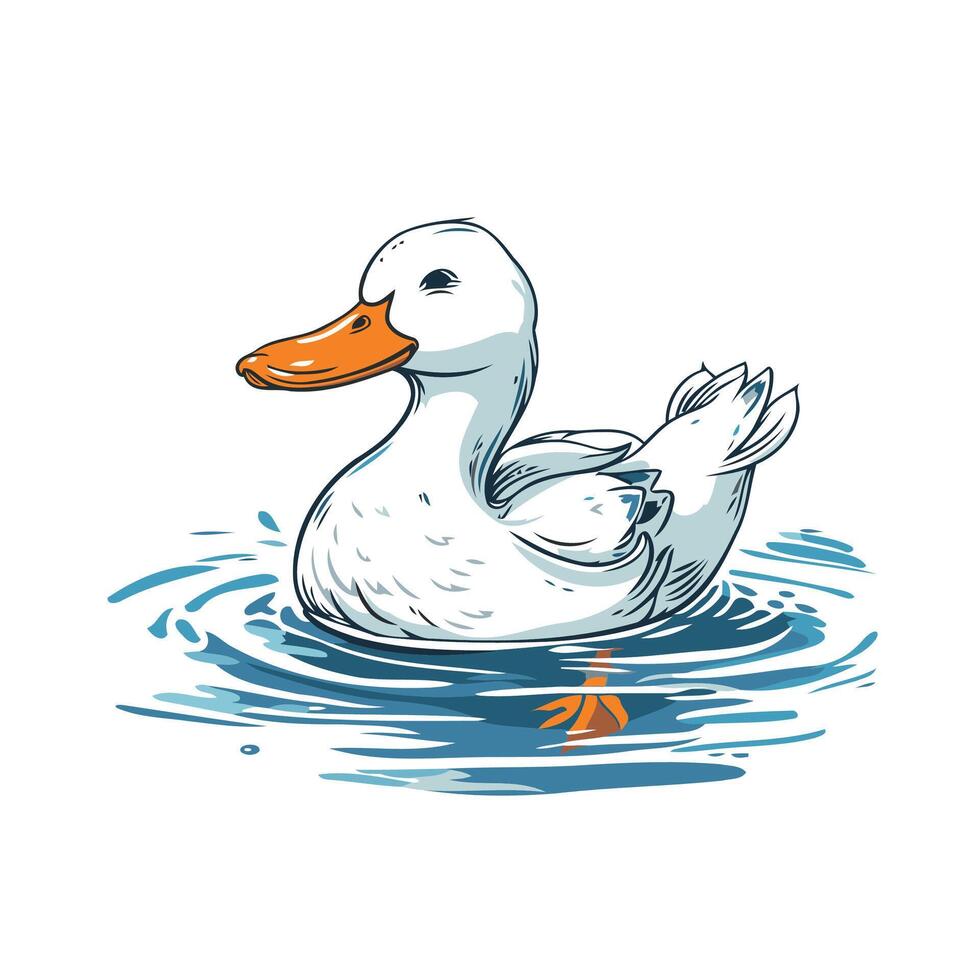 A white duck swimming in the water vector