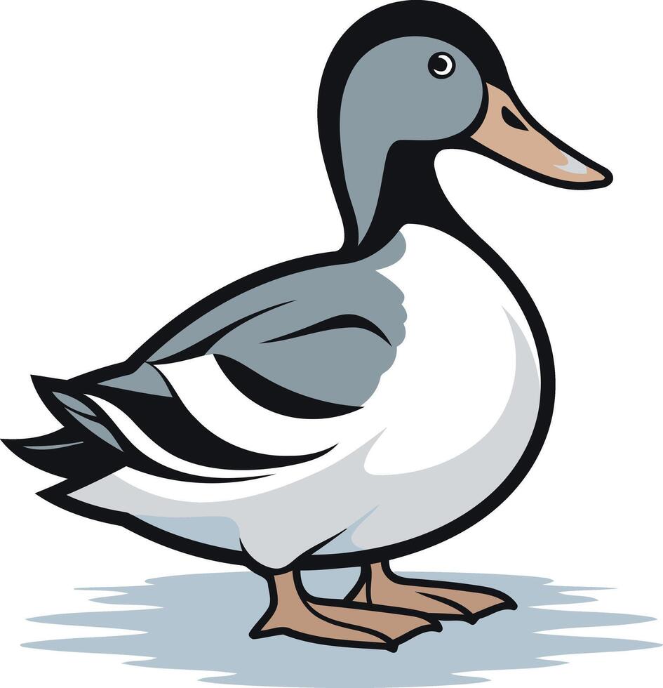 A cartoon duck standing on a white background vector