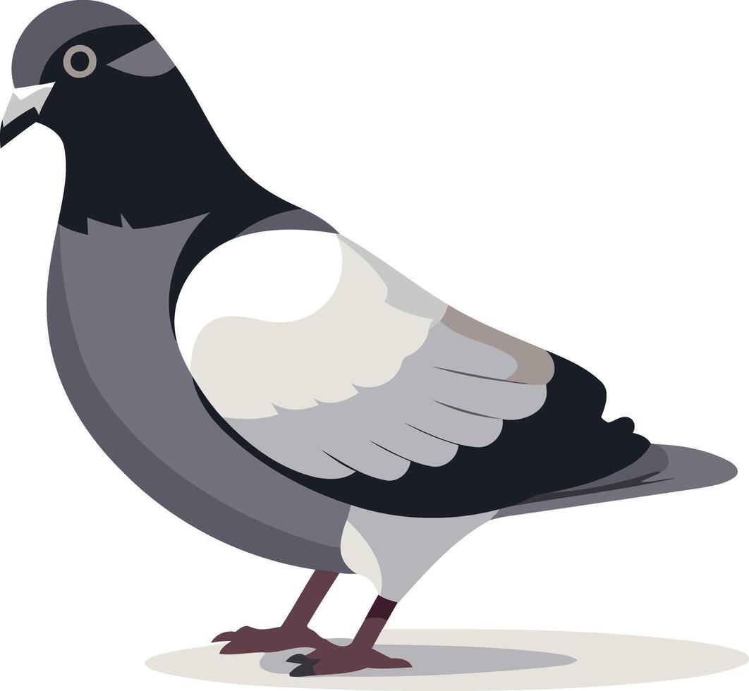 A pigeon standing on one leg illustration vector
