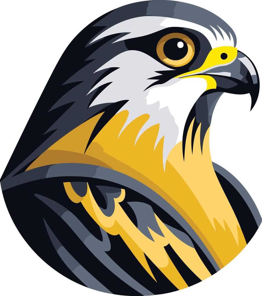 A hawk head with yellow and black feathers vector