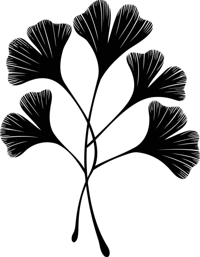 Ginkgo leaves clip art vector