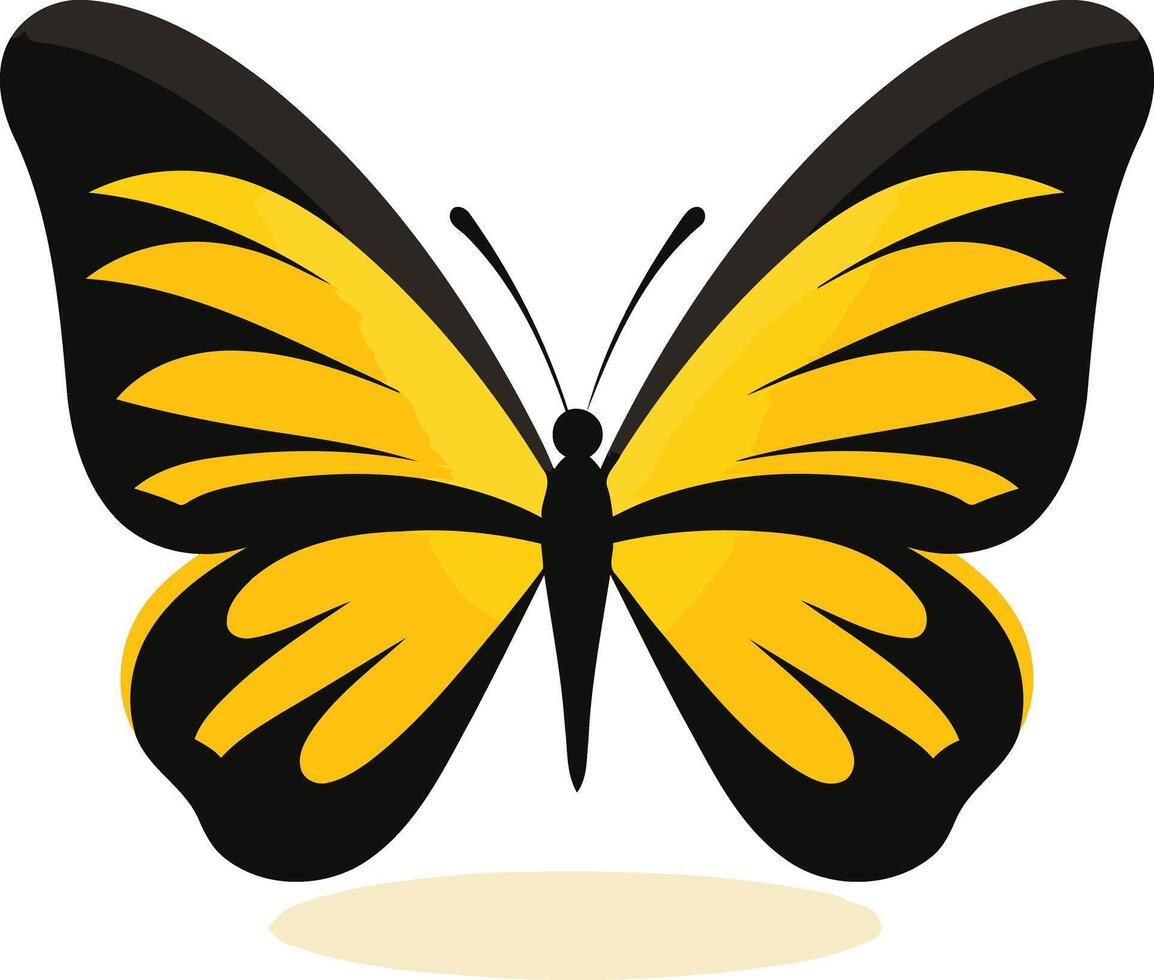 A yellow and black butterfly on a white background vector