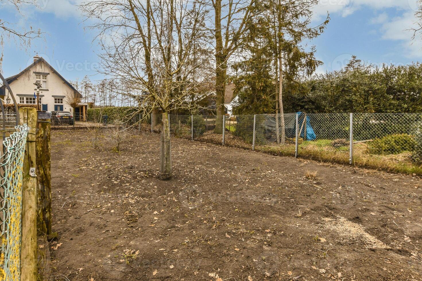 A yard with a fence and a house in the background photo