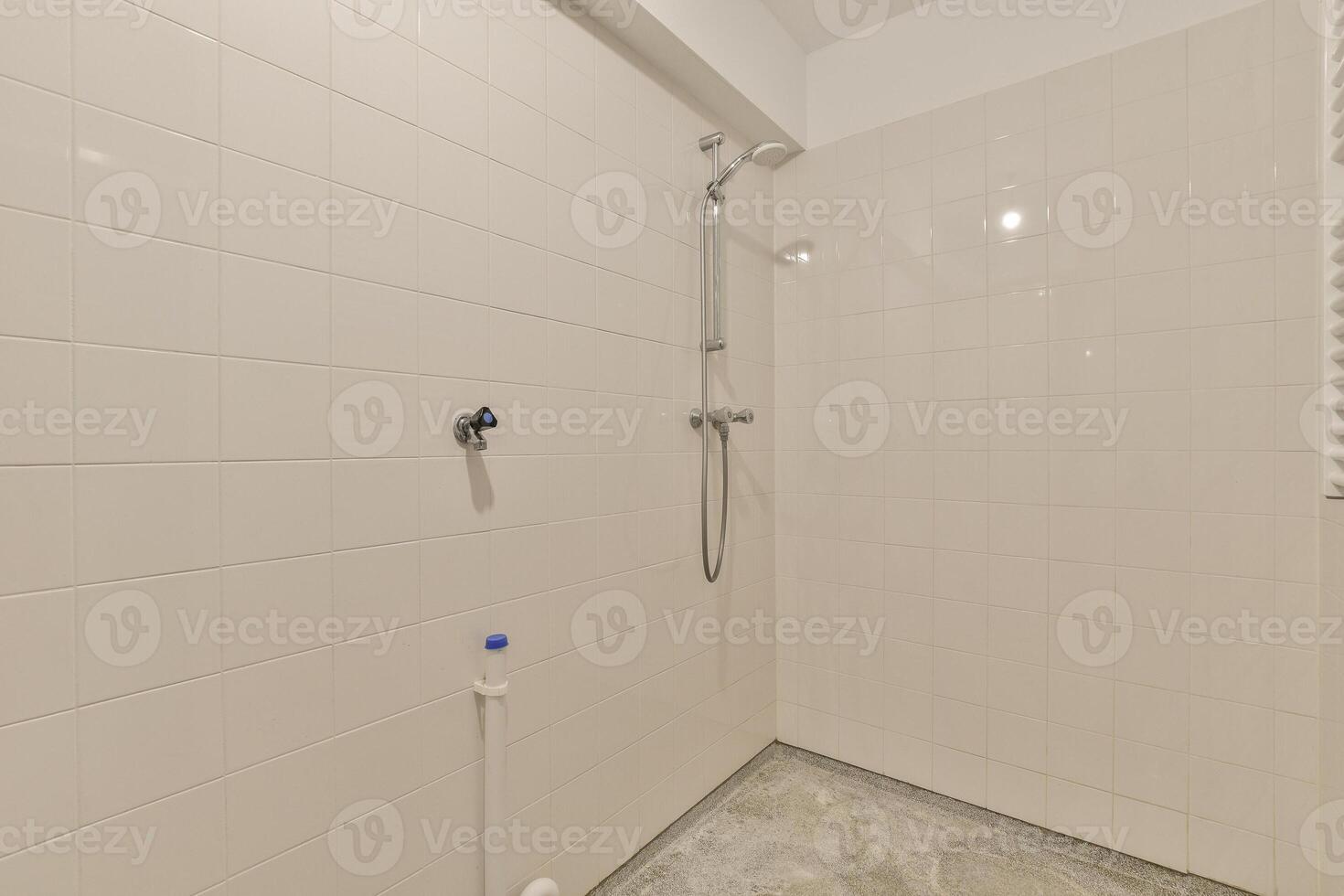 A shower with a shower head and a toilet photo