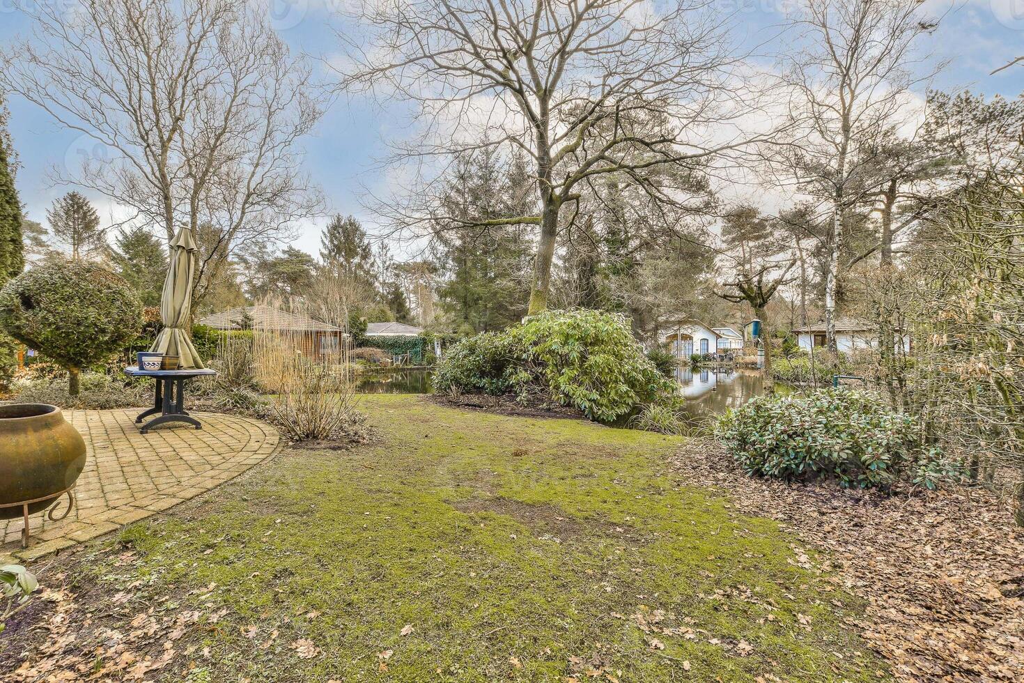 A backyard with a patio and trees photo
