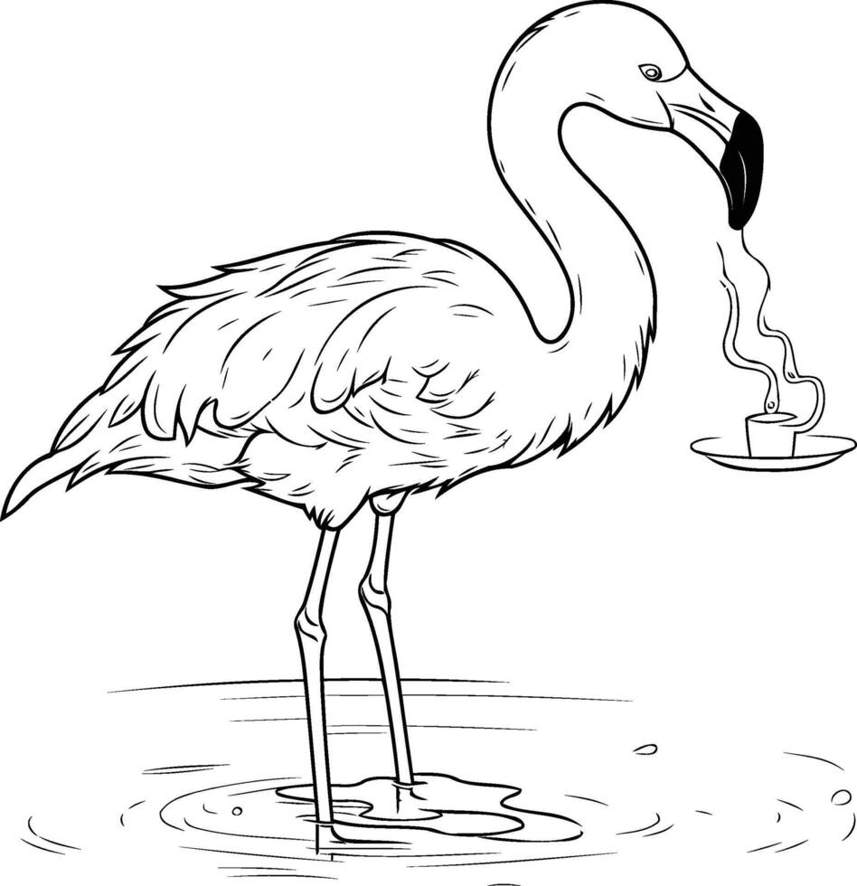 Flamingo coloring pages vector