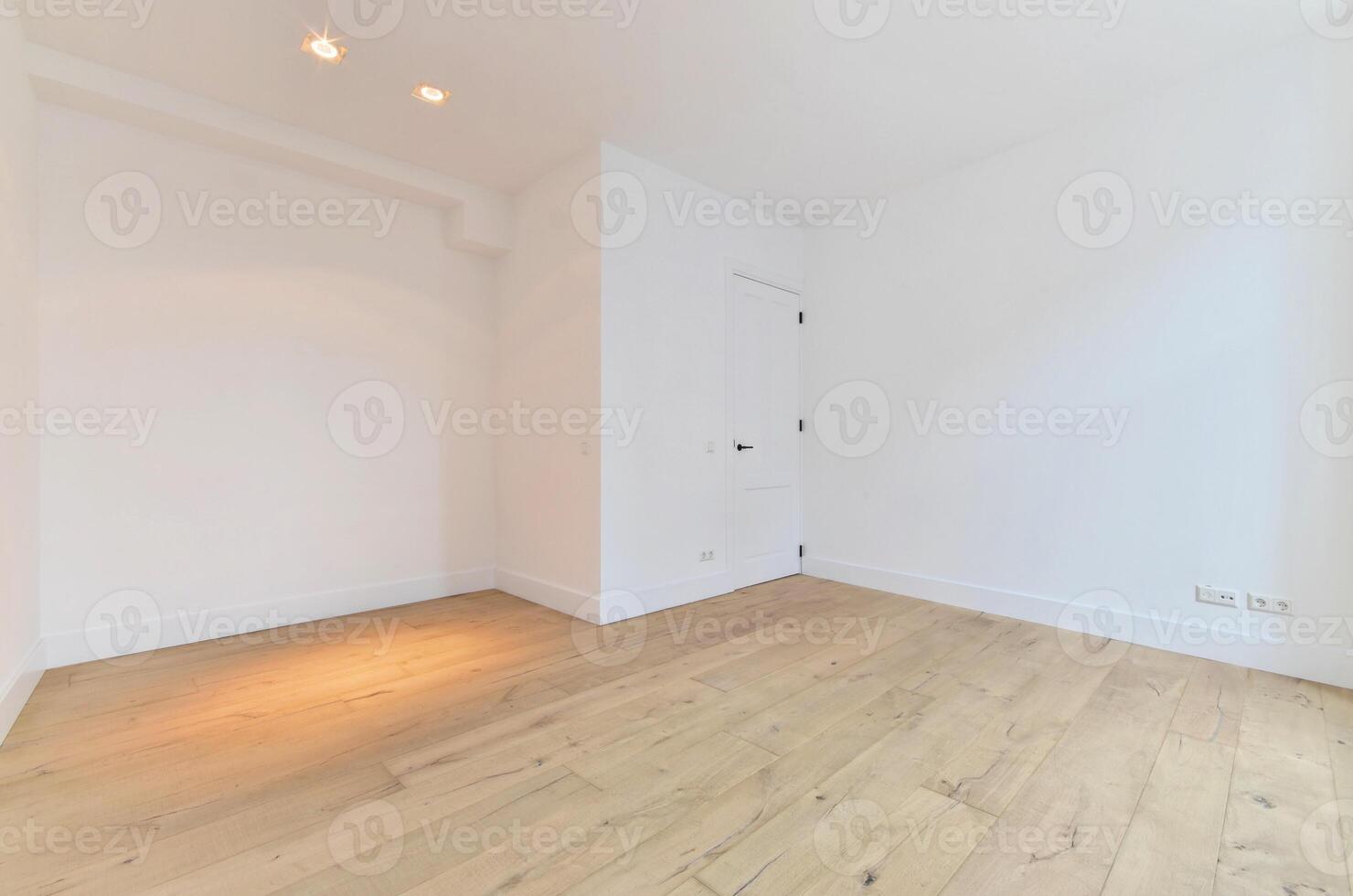 An empty room with white walls and wooden floors photo