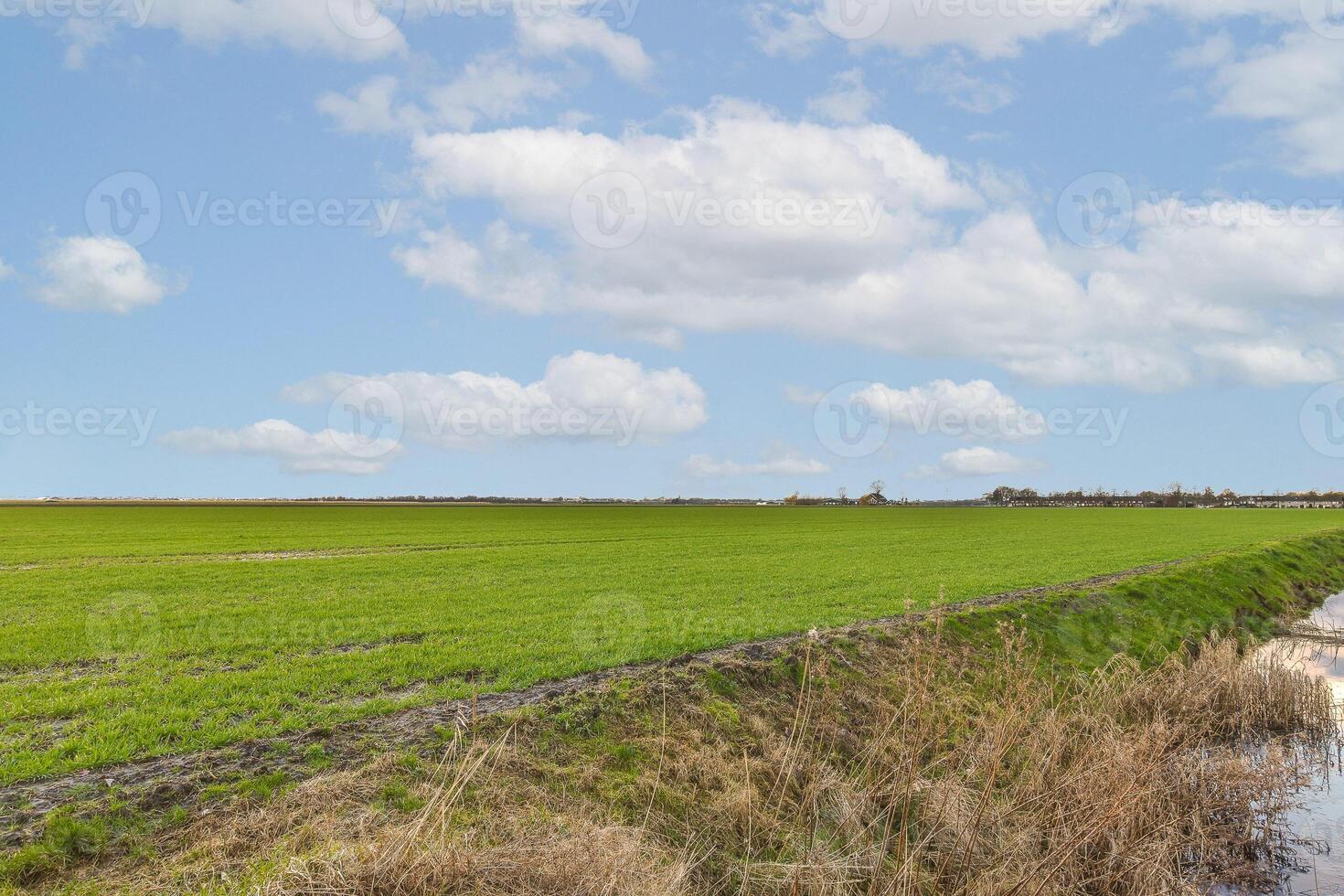 A small stream running through a field photo