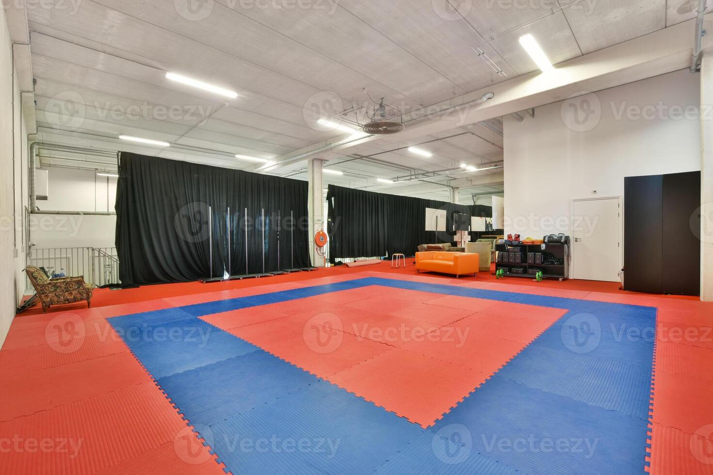 A large room with a red and blue mat photo